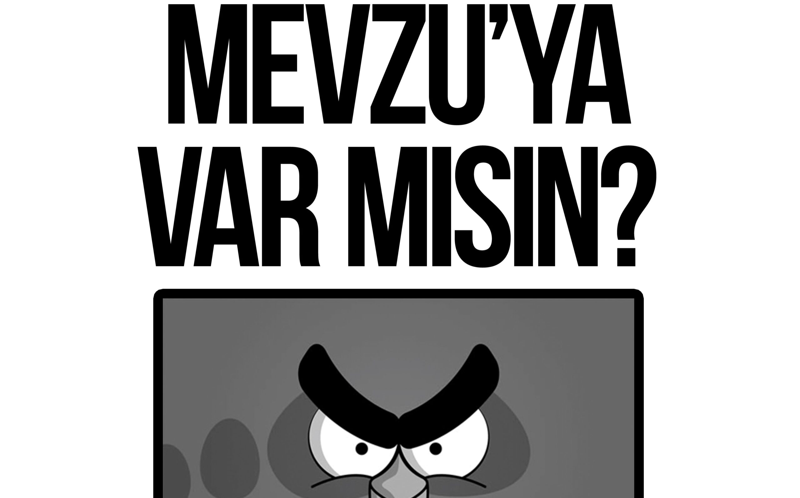 Mevzu Hazırlık Fanzin,