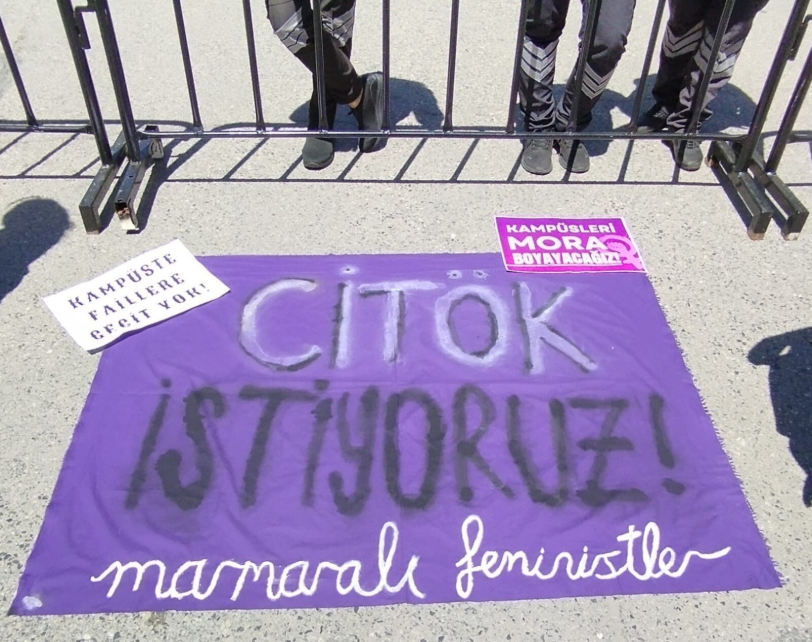 Marmara Üniversitesi CİTÖK eylemi,