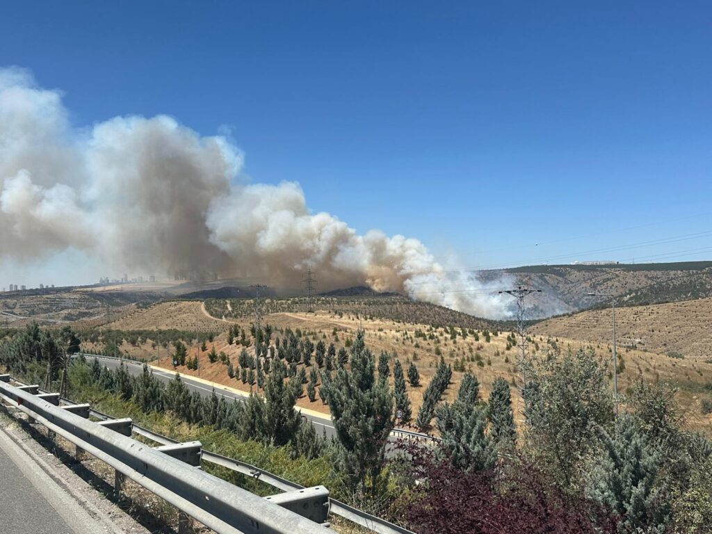 ODTÜ orman yangını,