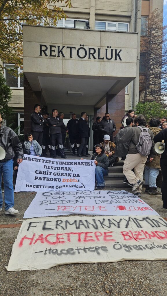 Hacettepe Üniversitesi, 